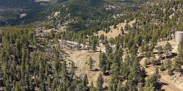 32634 Lodgepole Cir