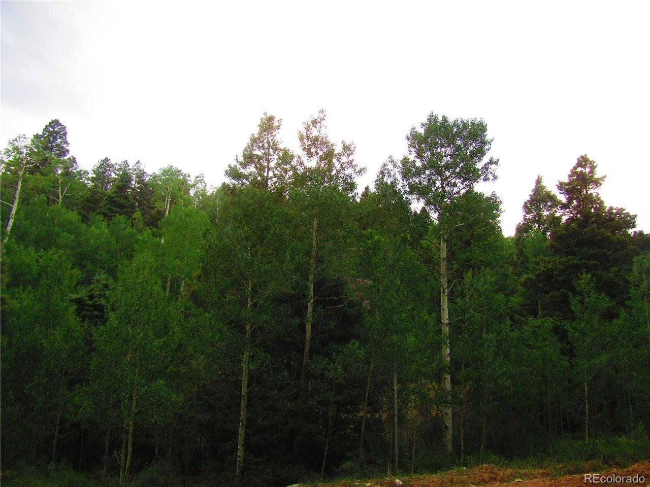 Image 3 Image 3