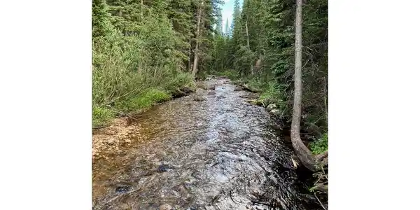Image 4 Image 4