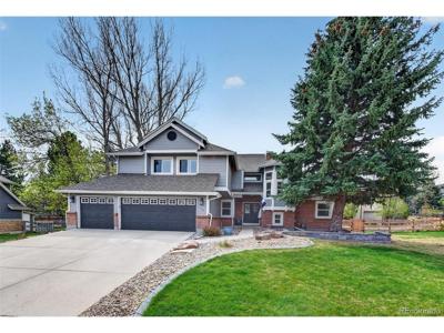12 Sycamore Ln