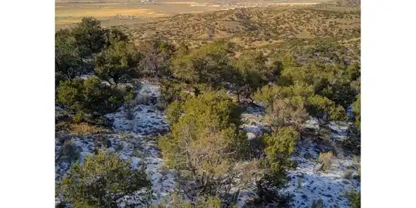 Image 3 Image 3