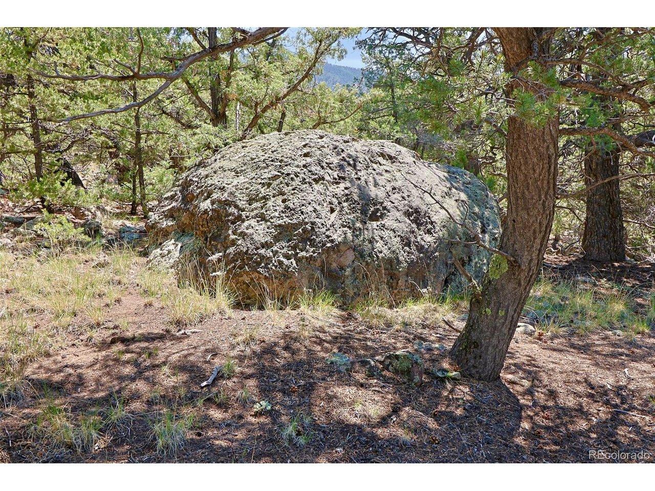 Image 3: conglomerate boulder Image 3: conglomerate boulder