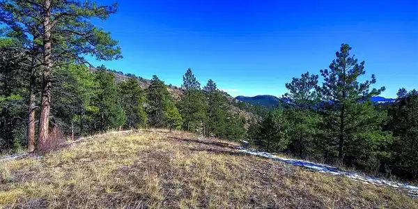 Image 3 Image 3
