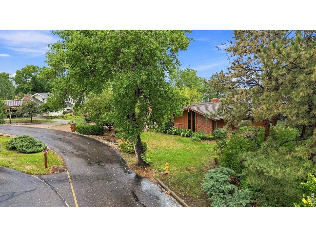 Image 3: Mature landscaping Image 3: Mature landscaping