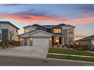 14365 Shasta Daisy Pt