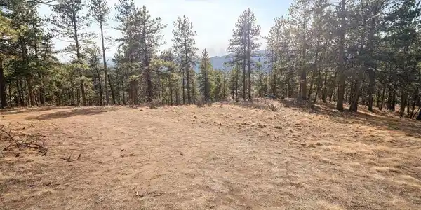 Image 2: Multiple possible building sites