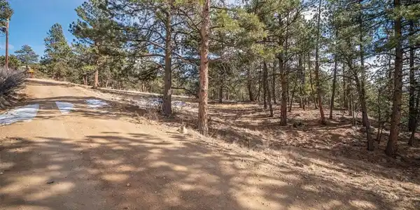 Image 3: Portion of Bailey Road leading up to the buildable portion of the property is part of this property.