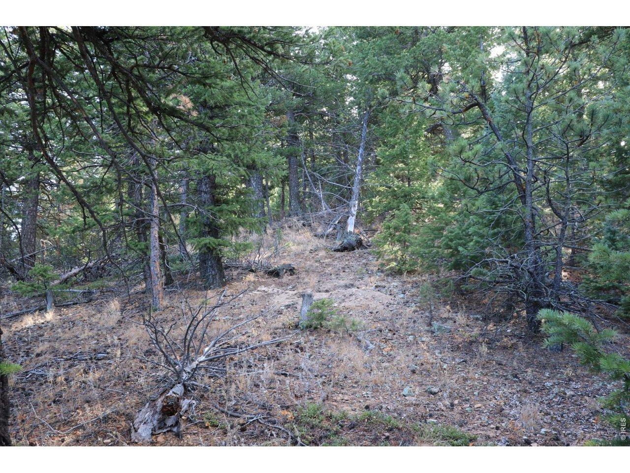 Image 4 Image 4