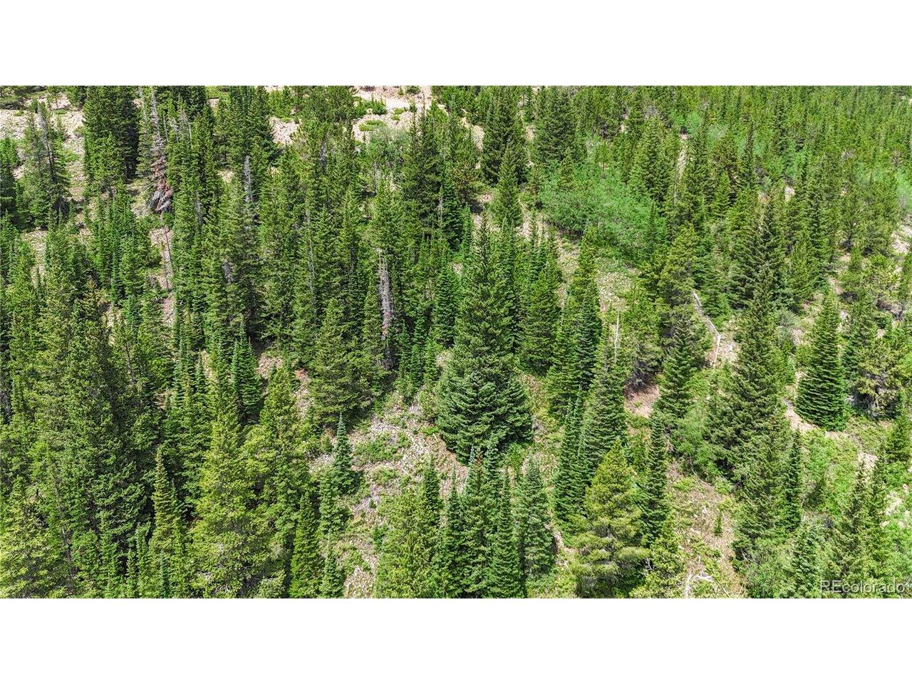 Image 4 Image 4