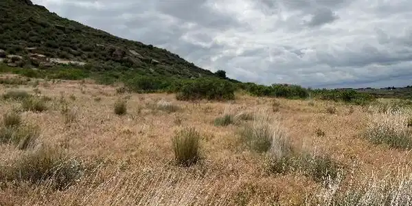 Image 4: No HOA
