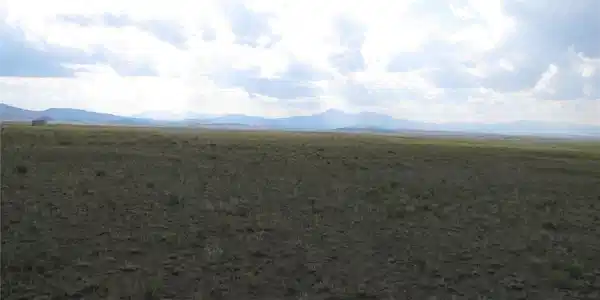 Image 4 Image 4