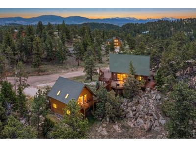 298 Mount Massive Dr