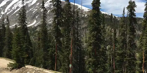 Image 3: The property's northwest view of Quandary Peak, with Quandary View Drive and partial driveway cut in the foreground. Image 3: The property's northwest view of Quandary Peak, with Quandary View Drive and partial driveway cut in the foreground.