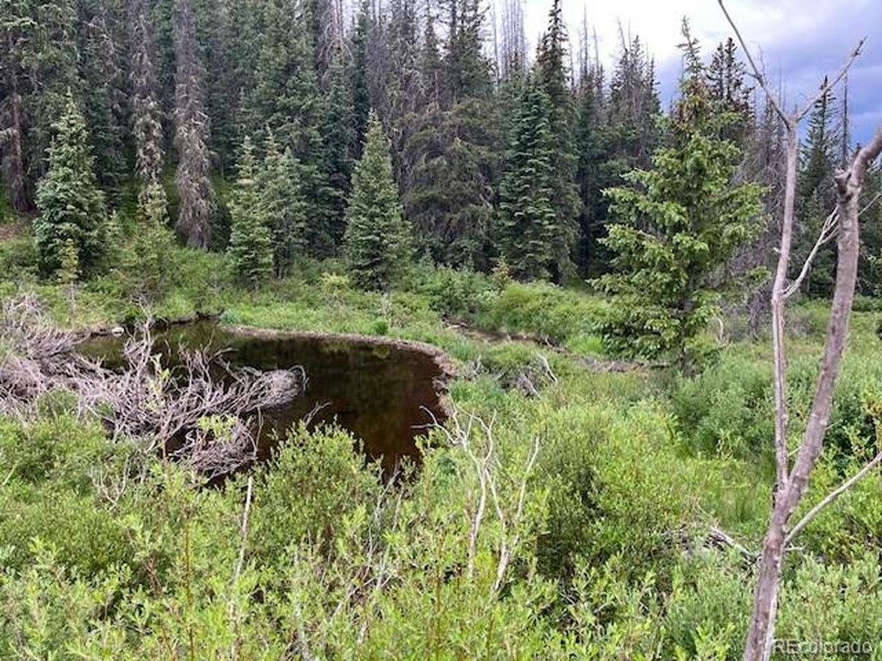 Image 4 Image 4