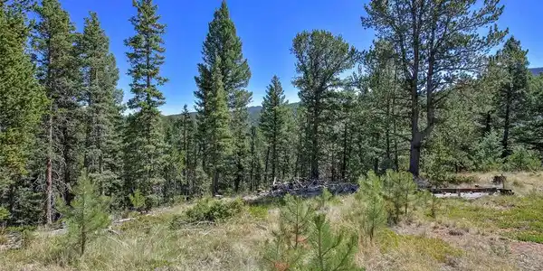 Image 3 Image 3