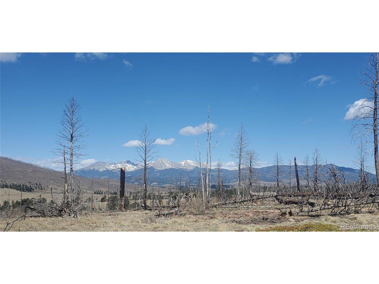 Image 4 Image 4