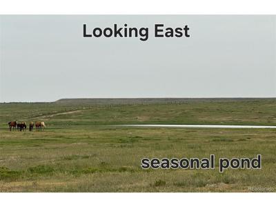 county rd 96 lot 2