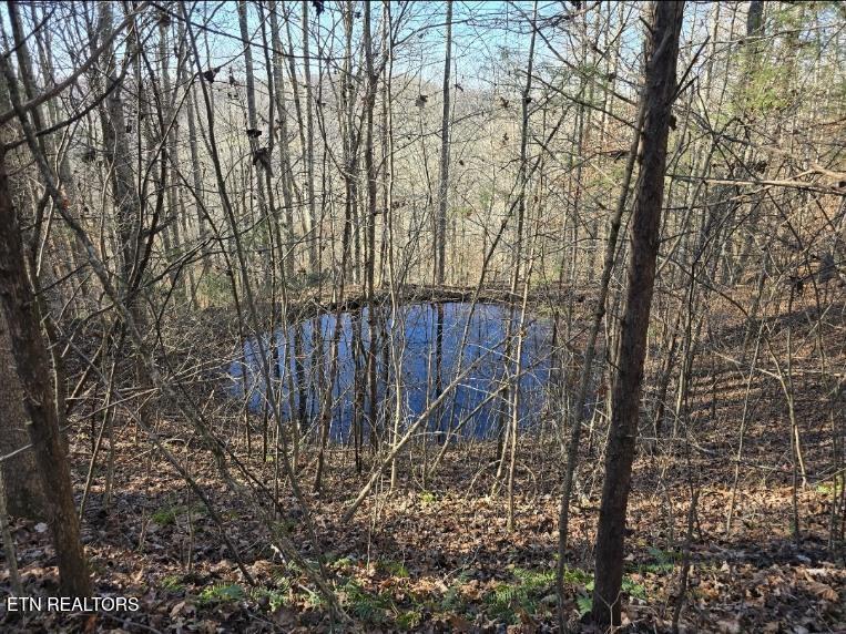 Image 3: image000004