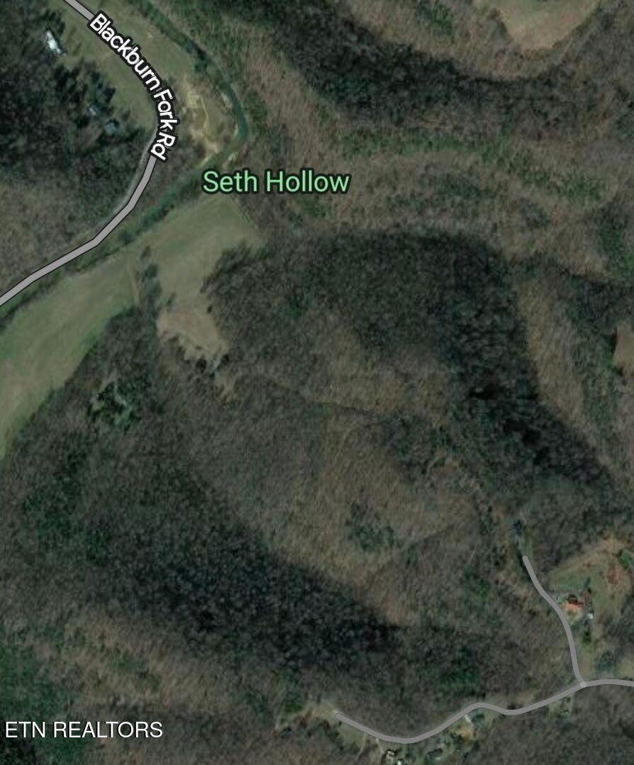 Image 4: 7289943358757279460