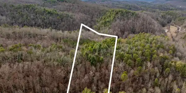 Image 2: DJI_0861