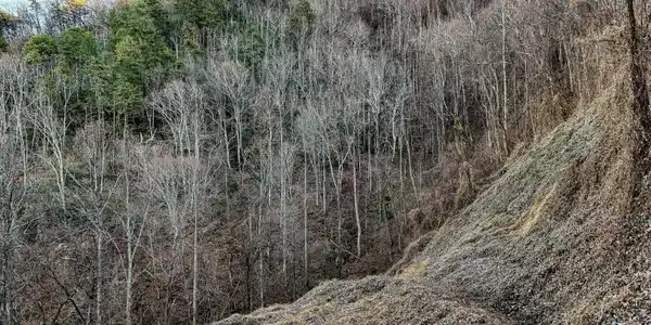 Image 2: 02-Balsom Slopes Rd Lot 6 and 7-2