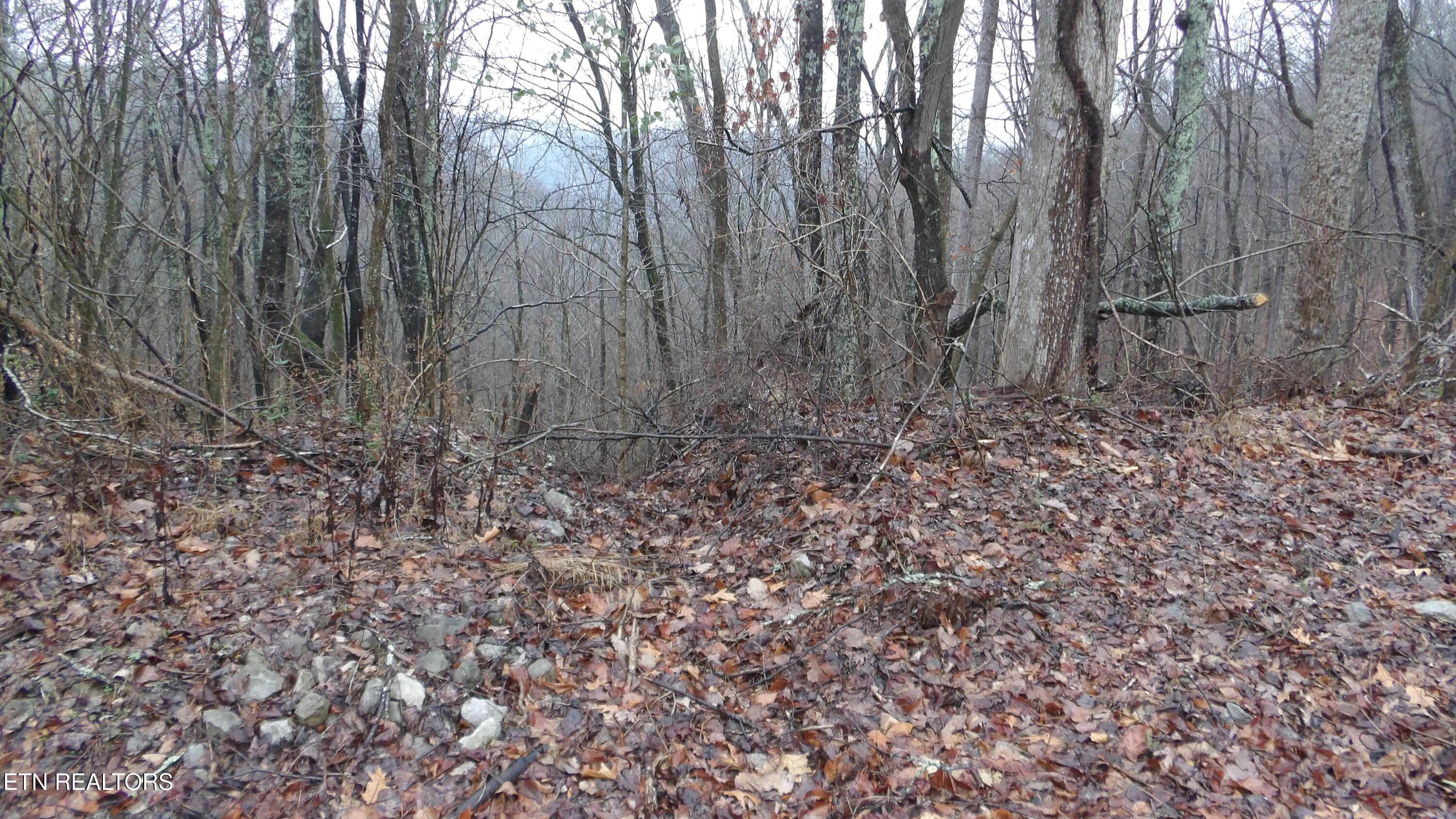 Image 2: 100_0003