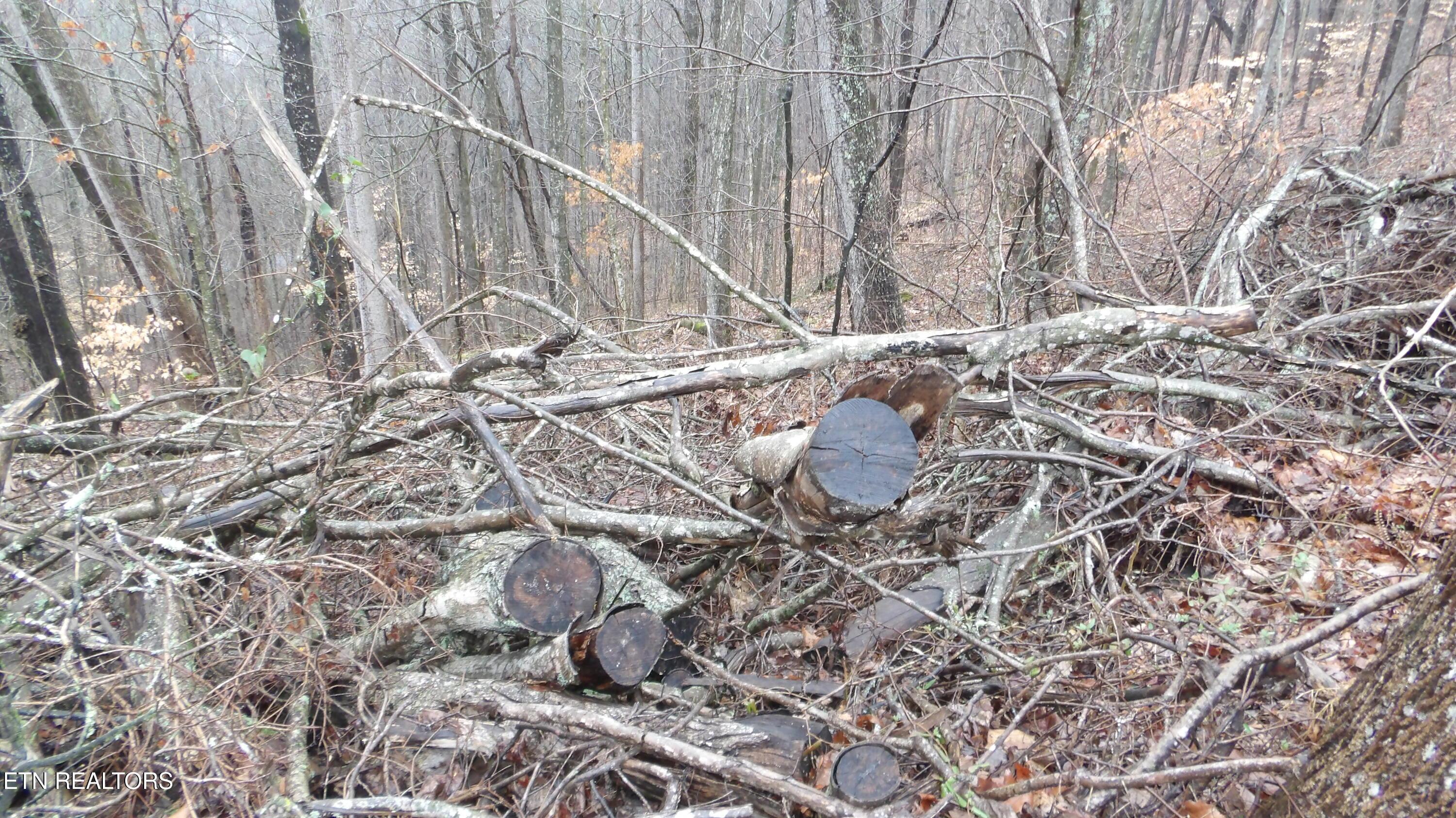 Image 4: 100_0005