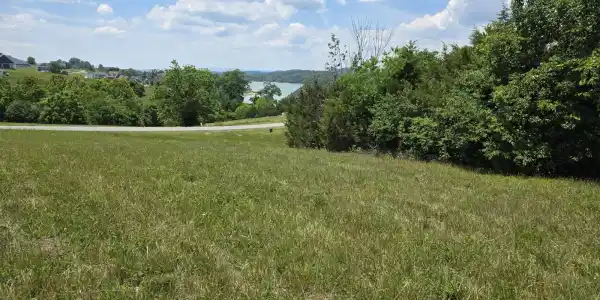 Image 4: Mid lot