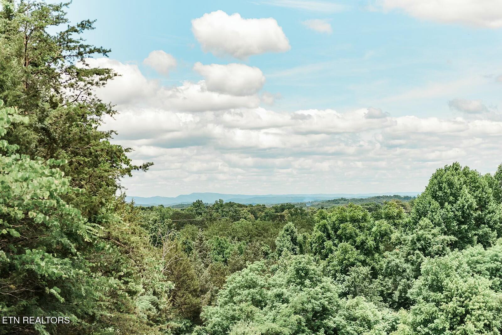 Image 4: Holston Springs/Strawberry Creek