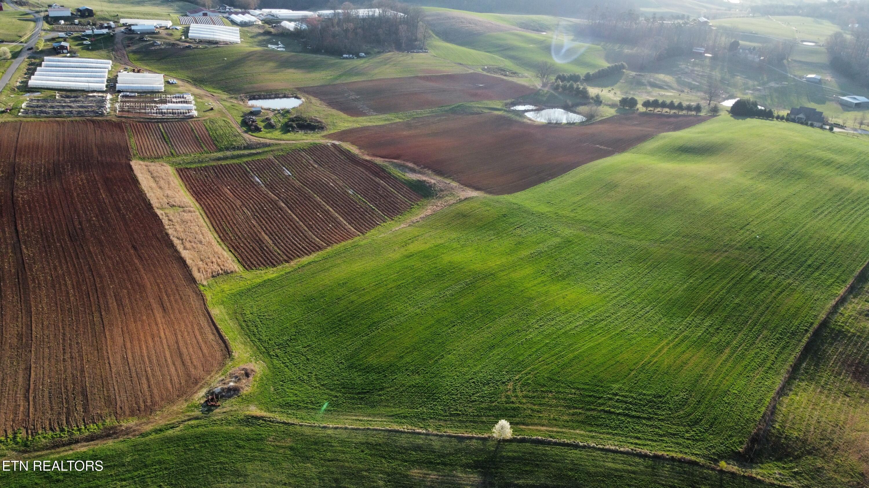 Image 1: dji_fly_20250317_083240_731_174221523720