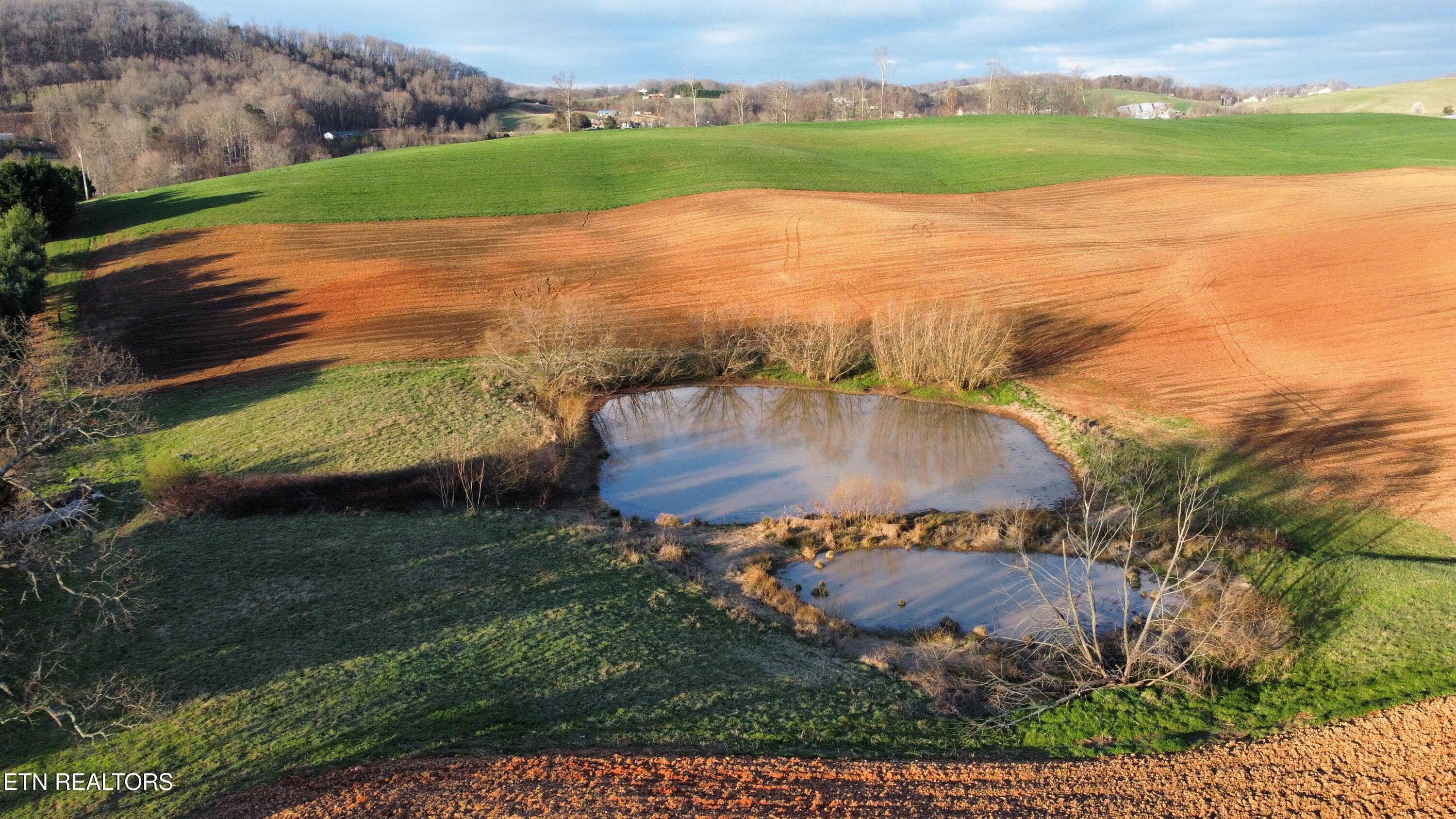 Image 2: dji_fly_20250317_084214_749_174221621812