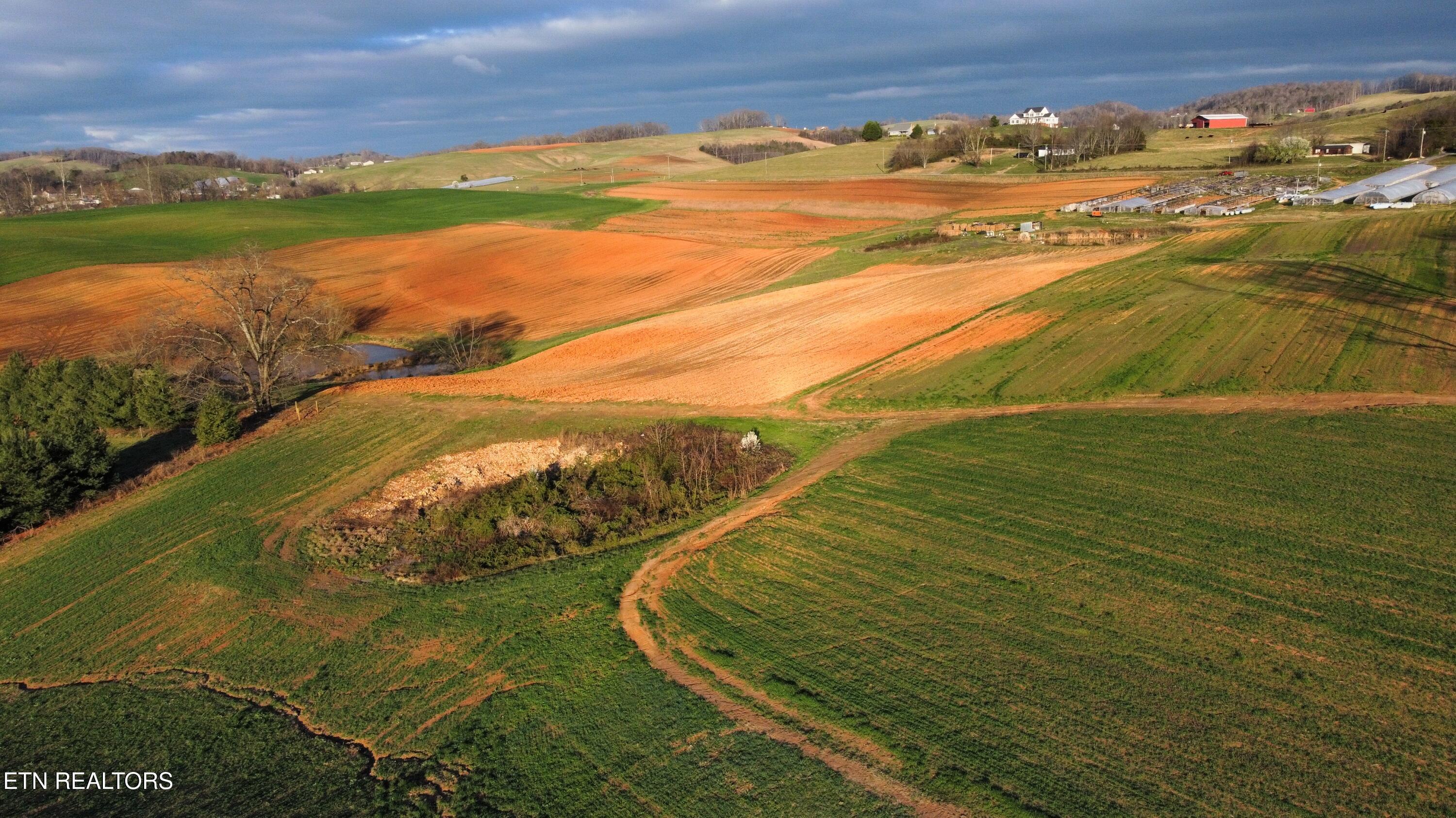 Image 3: dji_fly_20250317_084158_748_174221621338