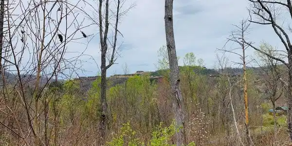 Loop Rd Rd
