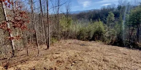 Lot 34 Pinnacle Vista RD