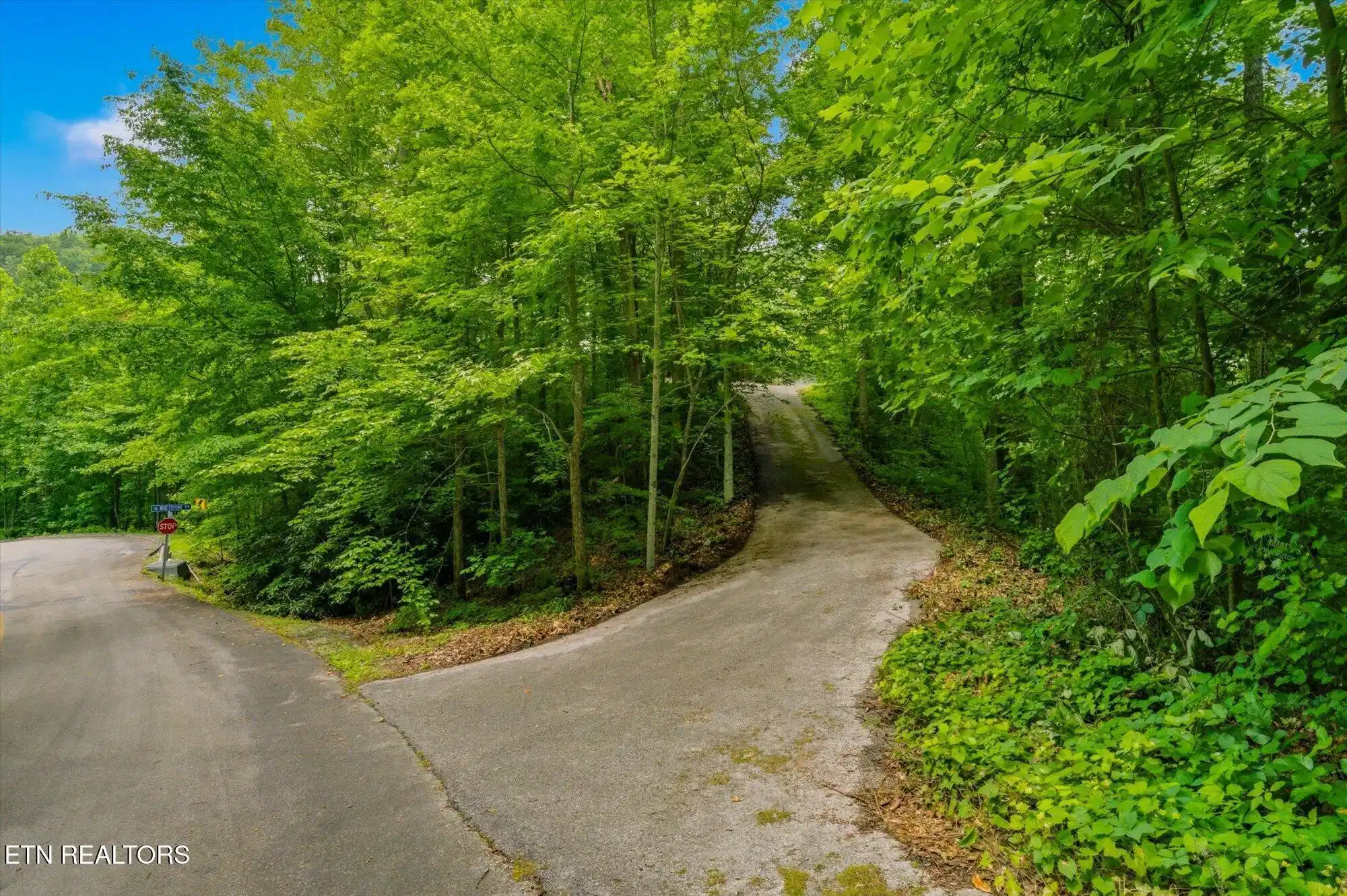 Image 1: 2405 Deep Spring Lane