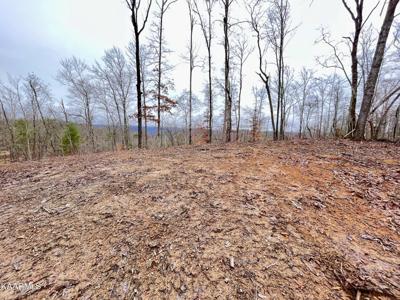 225 Crystal Springs Rd