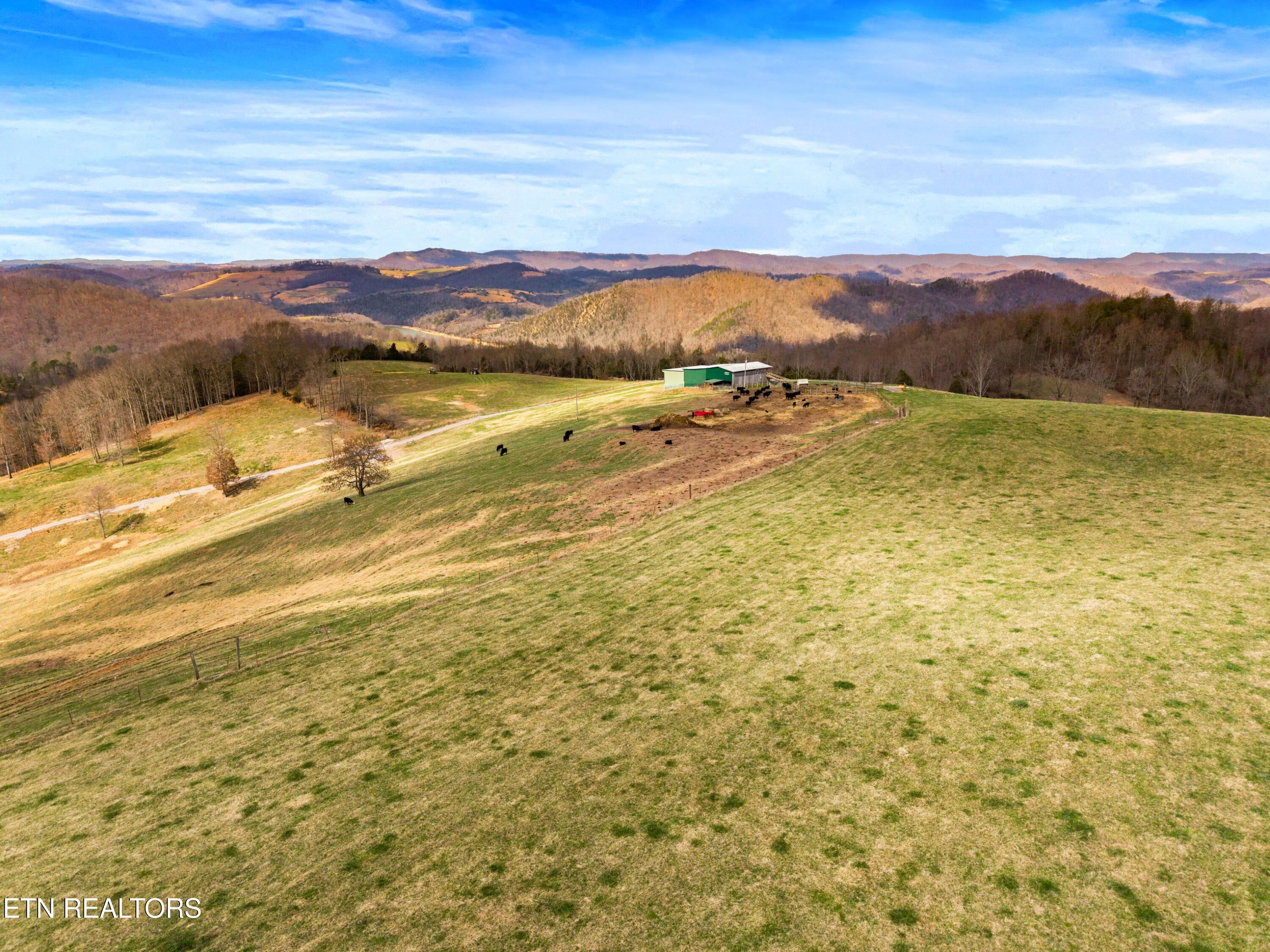 Image 4: 005-BeechGroveRoad-60Acres-ThornHill-TN-