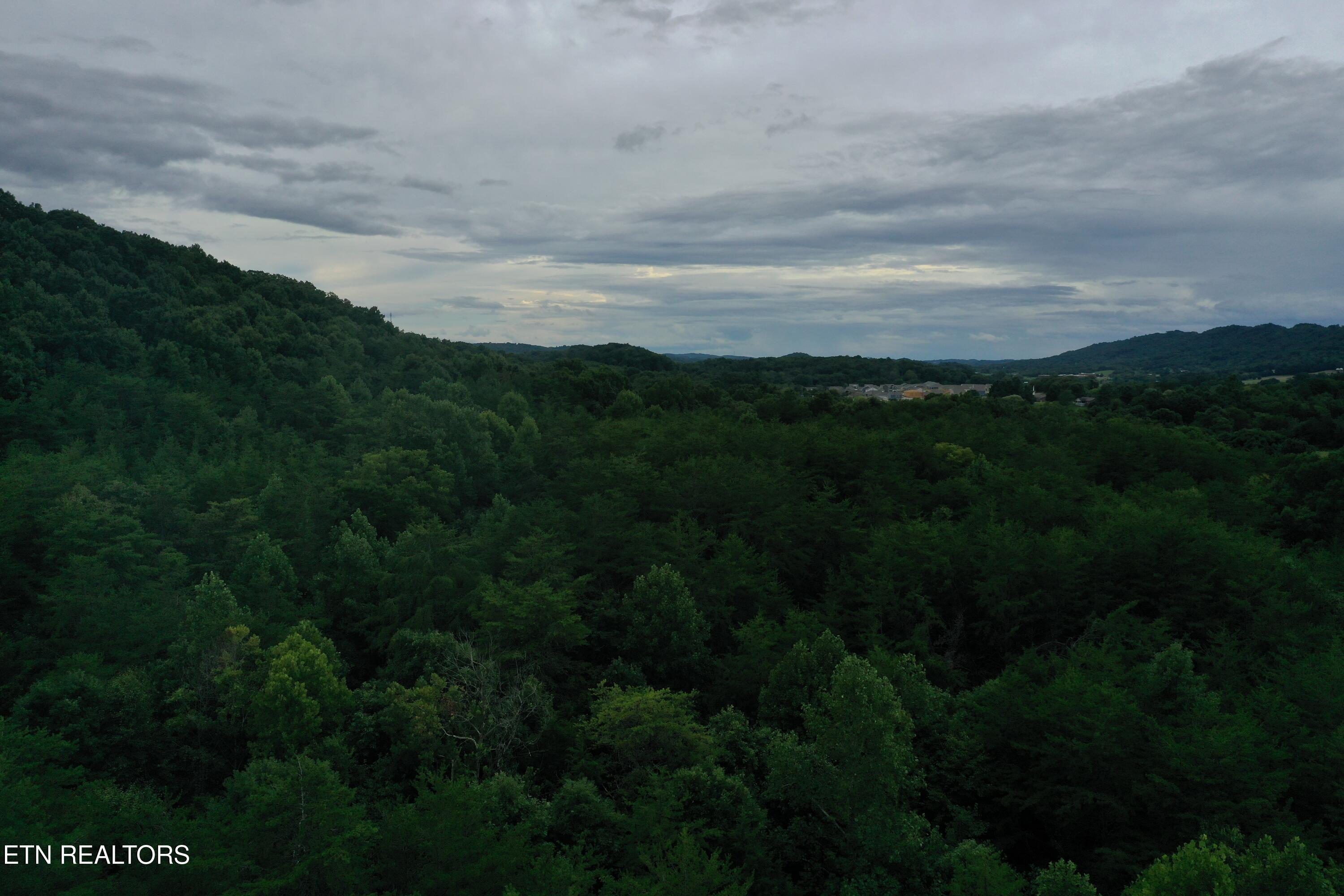 Image 2: DJI_0004