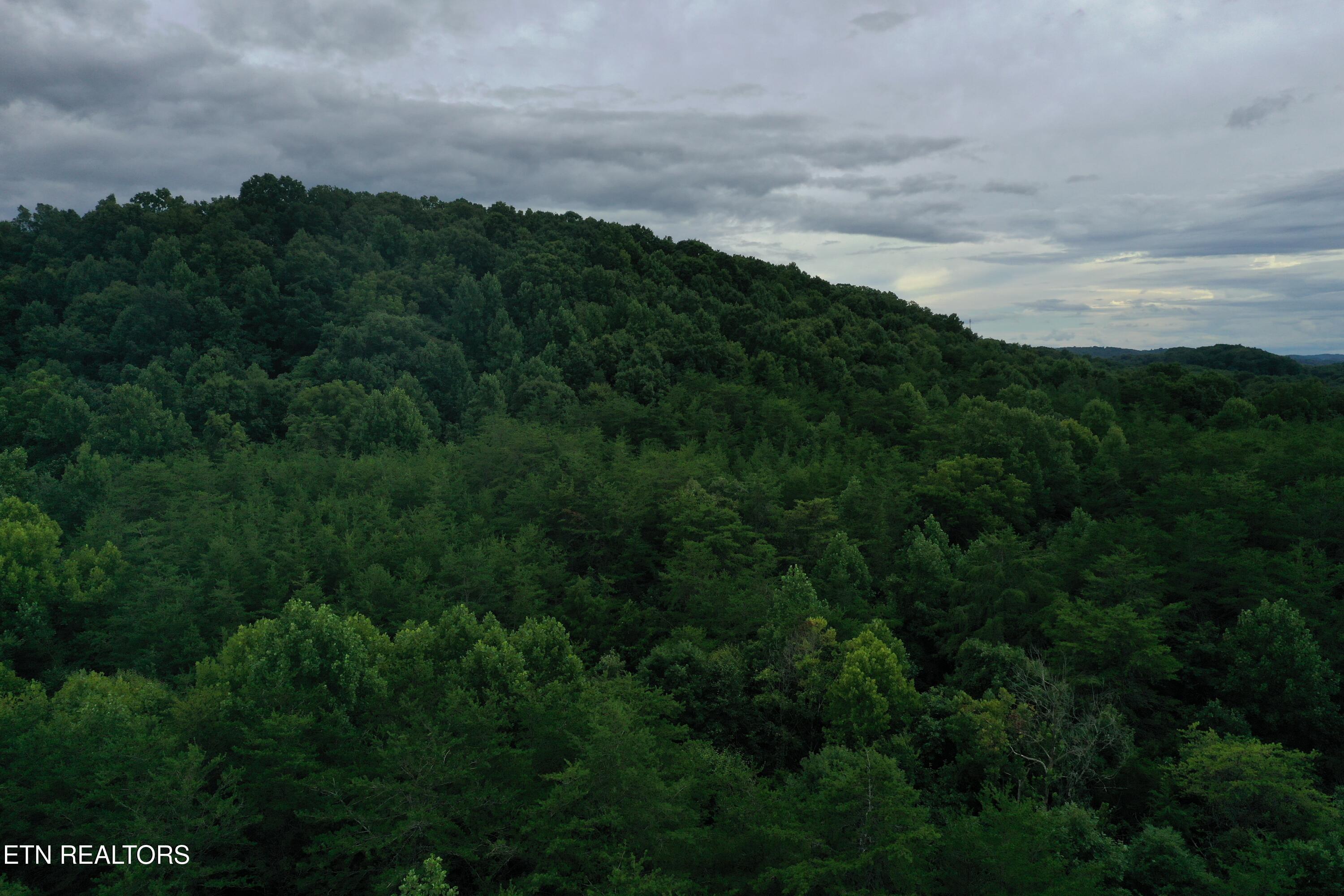 Image 3: DJI_0005