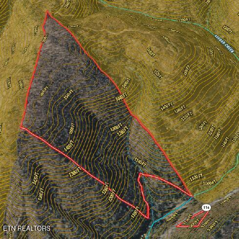 Image 2: Burnette Aerial_countour_Streams