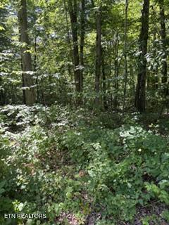 Image 3: IMG_1655
