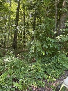 Image 4: IMG_1657