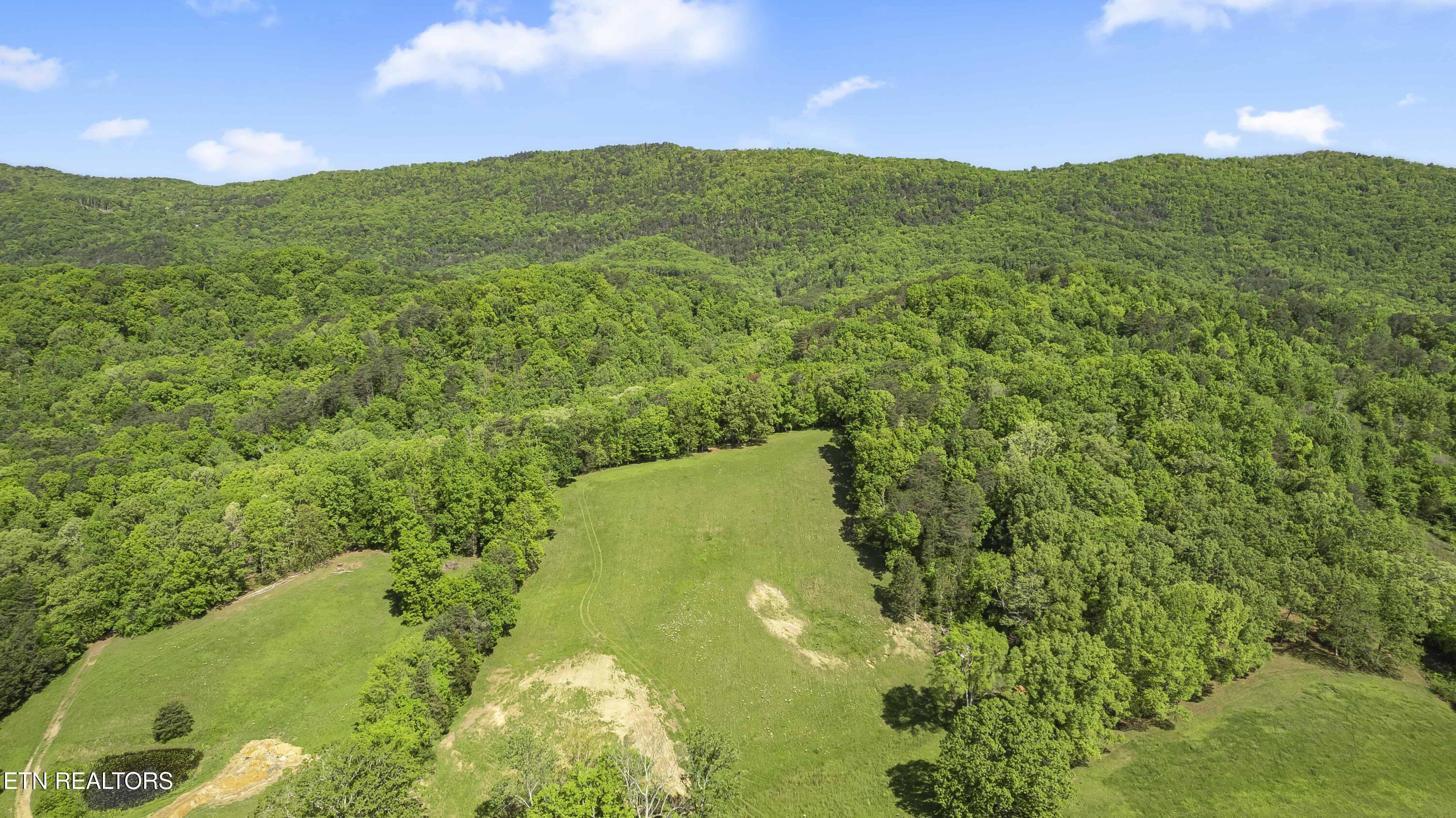 Image 2: DJI_0495 copy-min