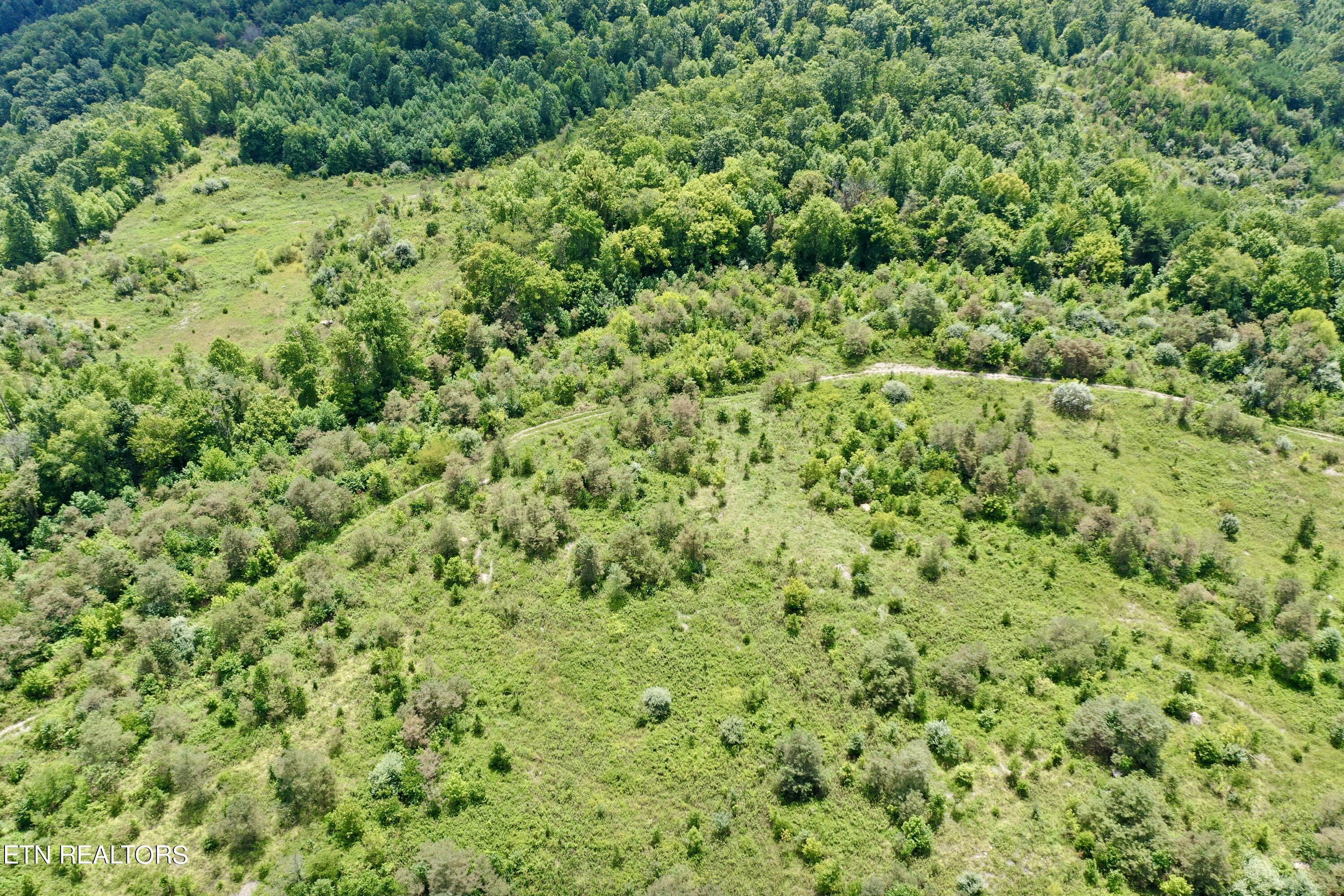 Image 3: 3