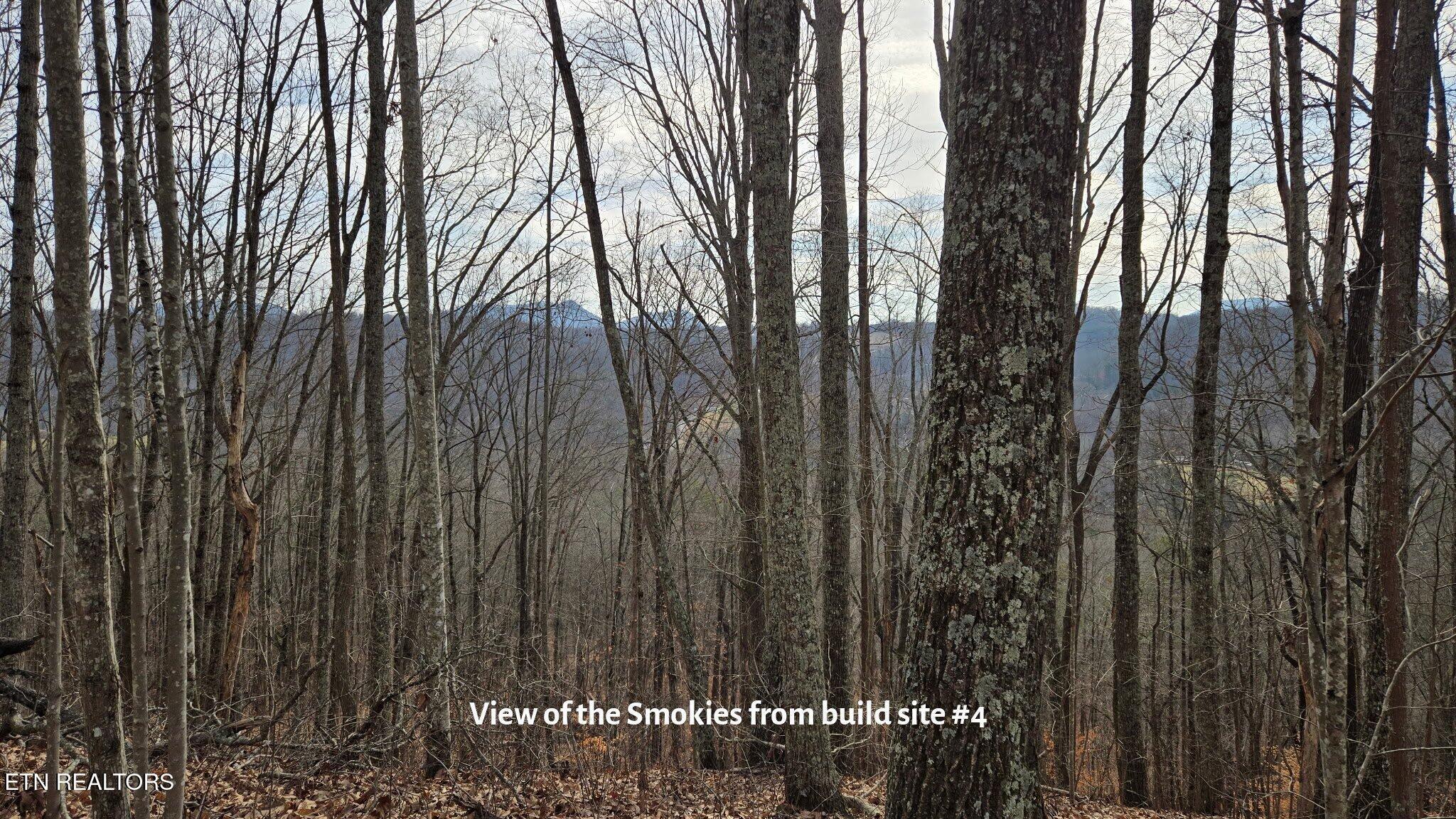 Image 4: Photo 18 2