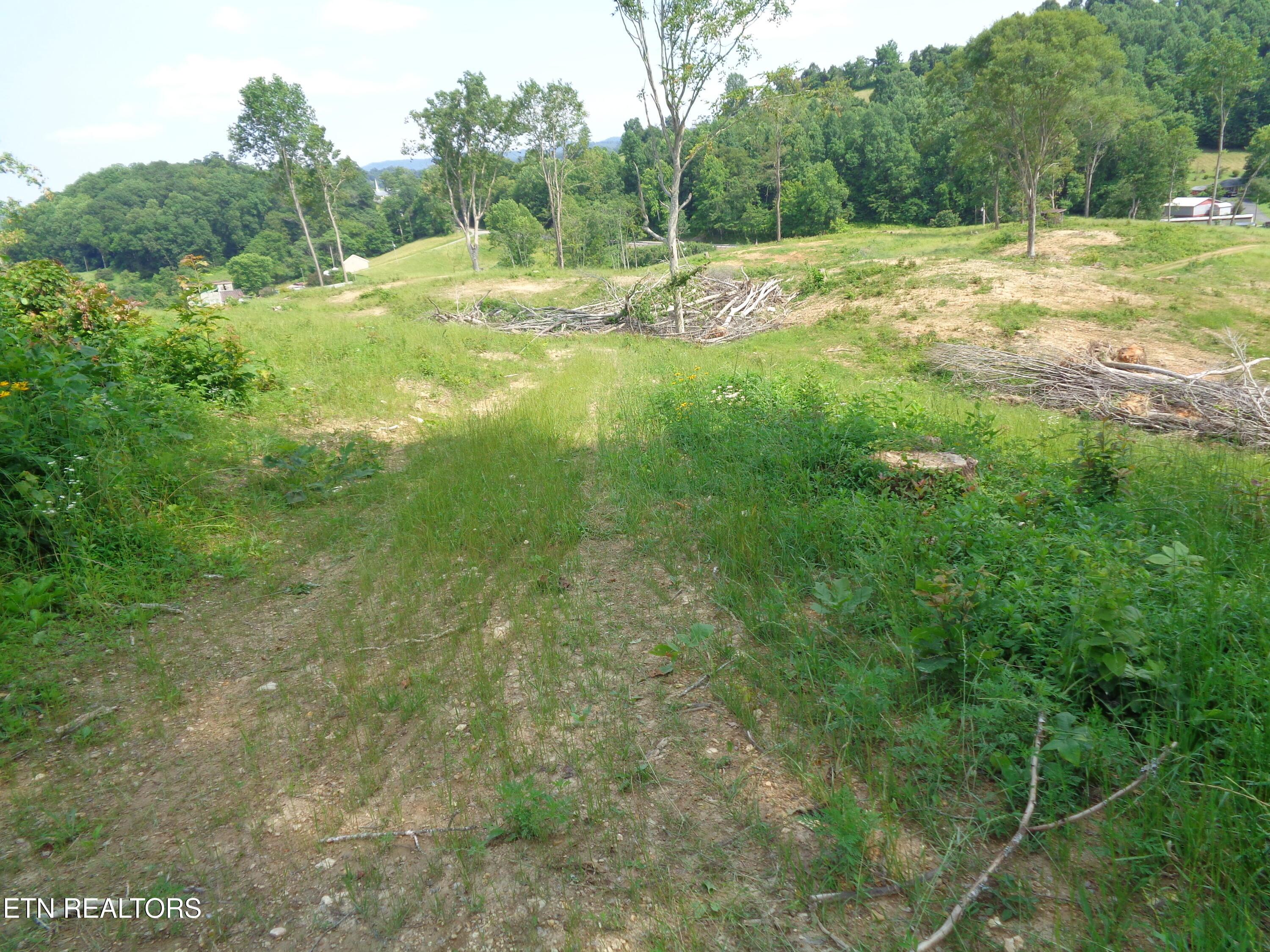 Image 4: DSC00877