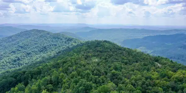 Image 2: 2