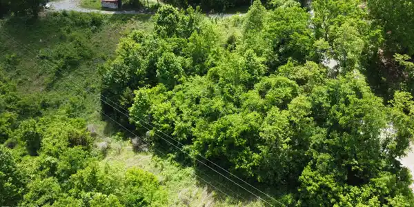 801 Old Highway 25E