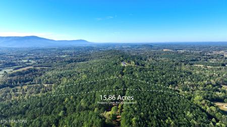 1453 County Road 609