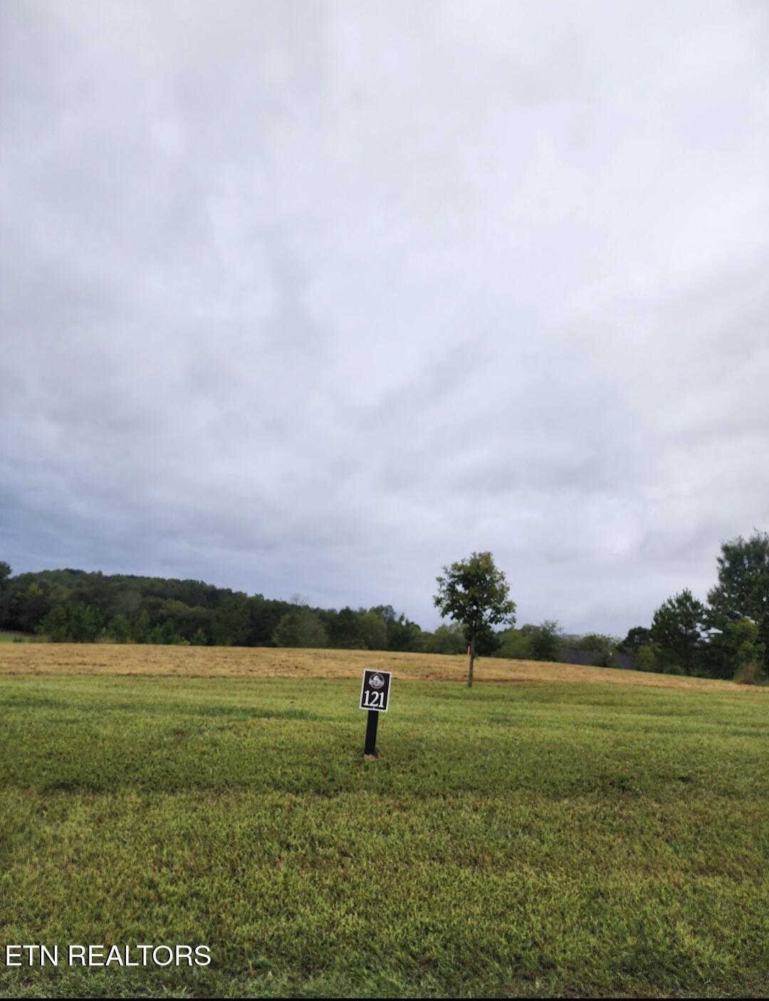 Image 1: Lot 121 (3)